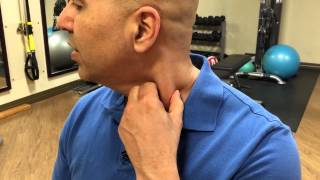 How to selftreat sternocleidomastoid muscle trigger points  trigger point release [upl. by Jaehne]