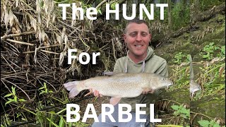 Barbel Fishing River Aire Leeds [upl. by Enela]