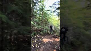 Island trail second landing 😜 mtb vancouverisland freeride [upl. by Vareck]