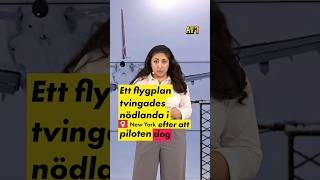 Flyg tvingades nödlanda – pilot dog [upl. by Alyks]