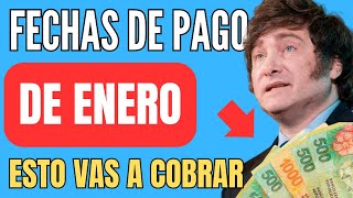 🍀 Cuando y Cuanto COBRO ANSES ENERO 📣 Jubilados Pensionados AUH PNC SUAF ✚ Fechas de Pago [upl. by Sagerman]