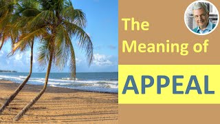 The Meaning amp Definition of APPEAL 3 Illustrated Examples [upl. by Astred726]