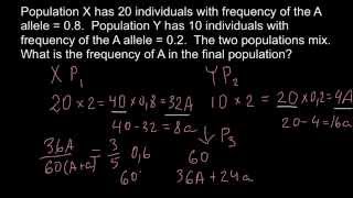 How migration affect allele frequencies [upl. by Eednas554]