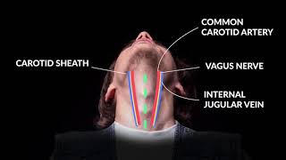 How to Perform An Emergent Cricothyrotomy Emergency Medicine  Your Design Medical [upl. by Lundell776]