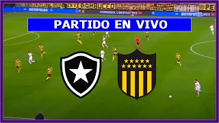 🔴 BOTAFOGO vs PEÑAROL EN VIVO ⚽ SEMIFINAL LIBERTADORES IDA 2024  LA SECTA DEPORTIVA [upl. by Lepper]