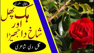 Phol Ur Shaake Da Jhairra  پھل تے شاخ دا جھیڑا  Gull Di Shayari  Khizar Hayat Gull  Story [upl. by Rondon]