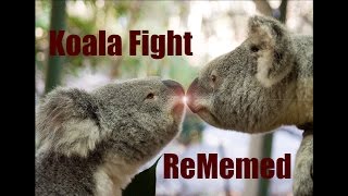 Koala Fight ReMemed [upl. by Marmawke]