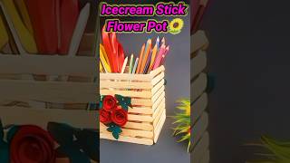 Beautiful Fuldani To Icecream Stick 🍡 Metamorphosis diy art cartoon craft shorts [upl. by Blakelee379]