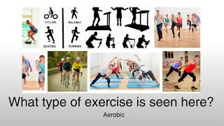 Aerobic and Anaerobic Exercise [upl. by Akilam]