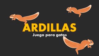 Juego para gatos  ardillas [upl. by Safire496]