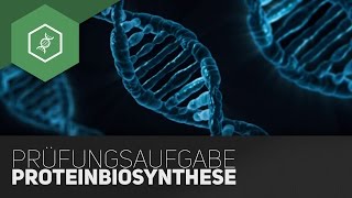 Typische Prüfungsaufgabe – Proteinbiosynthese Teil 5 [upl. by Emalia]