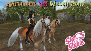 Star Stable Online Haflinger vs Welsh Pony [upl. by Bounds]