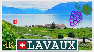 Lavaux Vineyards VD Switzerland 4K [upl. by Airamahs]