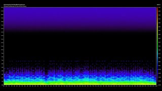 AtmosphericAmbient Soundtrack Conductus [upl. by Lrig]