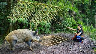 Full Video Wooden Cabin Shelter Big Trap Hole Wild Boar Hunting 20 Days of Building and Survival [upl. by Robinette]