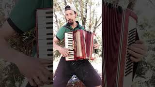 Tropeiro em Apuros  Os Bertussi  José Santtos do Accordion🎹🇧🇷✌🏼 [upl. by Alrich]