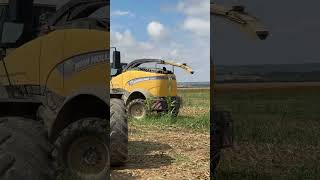 FENDT 933 FR920 FENDT 824 shortvideo farming subscribe farmlife [upl. by Nellie85]