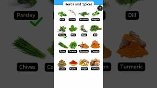 Herbs And Spices shorts ytshorts herbs spices englishvocabulary cheftips chefstalk ramchef [upl. by Akimrehs]