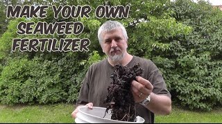 Make Your Own Seaweed Fertilizer [upl. by Hasan]