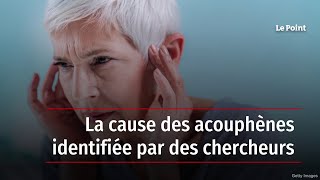 La cause des acouphènes identifiée par des chercheurs [upl. by Dom686]