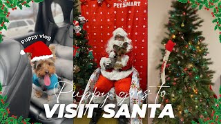 Christmas Day Vlog Taking my puppy to see Santa Clause [upl. by Panchito]