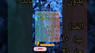 اگر می‌خواهی هرروز داناتر شی فالوم کن🌷♥️ ایده ترفند چالش دانستنی [upl. by Nomolas]