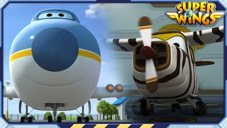 SUPERWINGS S1 BELLO amp BIG WING  Superwings  Super Wings  S1 Character Compilation [upl. by Bonucci56]