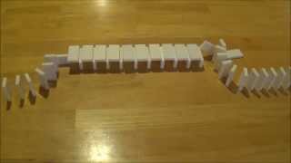 60 Domino TRICKS [upl. by Lynnworth854]