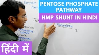 Pentose Phosphate Pathway  Hexose Monophosphate Shunt in Hindi [upl. by Acinaj37]