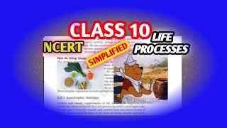 Life Processes💥Class 10  Autotrophic nutrition NCERT  CBSE  Simplified [upl. by Wilber]