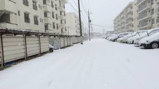 2014年 東京大雪 [upl. by Annaik10]