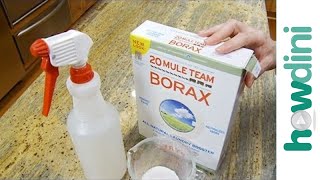 How to Kill Mold with Borax [upl. by Smart]