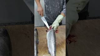 Quick and easy way to skin salmon fishcutting [upl. by Hadria53]