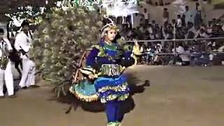 Colourful Peacock Dance at Kataragama Maha Perahera Temple Procession Sri Lanka [upl. by Esina]