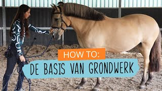 HOW TO Beginnen met GRONDWERK  127  HorseFitShop [upl. by Estella]