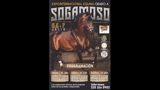 EXPOINTERNACIONAL EQUINA GRADO quotAquot SOGAMOSO 2024  DIA 3  PASO FINO COLOMBIANO [upl. by Alcus]