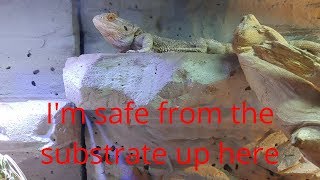 Why Loose Substrate Does Not Cause Impaction [upl. by Atinauj]