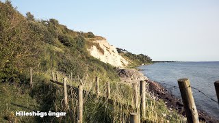 Skånes Natur En Filmisk Hyllning till Sydsveriges Vilda Skönhet [upl. by Ethbin]