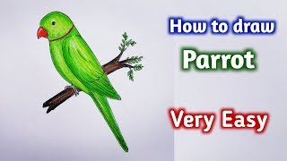 how to draw parrot easy step by stepGali Gali Art [upl. by Loredana]