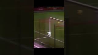 Bros goal vs norwich☠️ football footballshorts [upl. by Llerrat528]