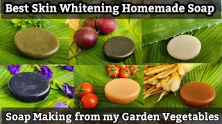 Best Skin Whitening Homemade Soap from my Garden Vegetables  Soap Making Vlog in Tamil gardening [upl. by Colbye243]