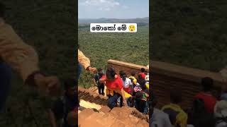 මොකක්ද මේ කලබලය 😲shortvideos travel viralvideos [upl. by Auguste]