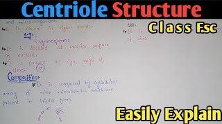 Centriole Structure Functions And Composition  Class 11 Biology [upl. by Sibylla]