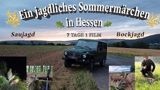 Ein jagdliches Sommermärchen in Hessen  7 JAGDTAGE 1 FILM [upl. by Tesler]