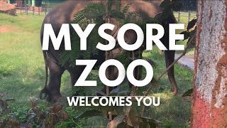 🐯Mysore zoo la enna erukunnu vanga pakalam🦓🦏🦒🦧  Resinart by Julie Zoo vlog  animal lovers Mysore [upl. by Minier]