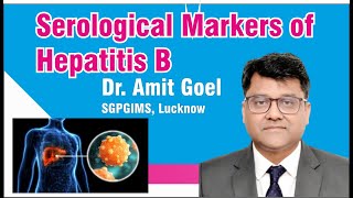 Serological Markers of Hepatitis B Dr Amit Goel SGPGIMS Lucknow [upl. by Nahttam873]