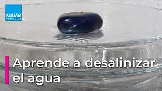 Aprende a DESALINIZAR agua  Experimentos [upl. by Darooge]