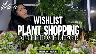 HOUSEPLANT SHOPPING TRIP • PLANT SWAP amp GROWTH UPDATES [upl. by Eslek379]