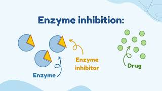 Enzyme Induction VS Enzyme Inhibition [upl. by Crysta771]