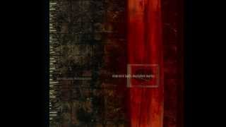 Nine Inch Nails  Disappointed HD [upl. by Endo604]